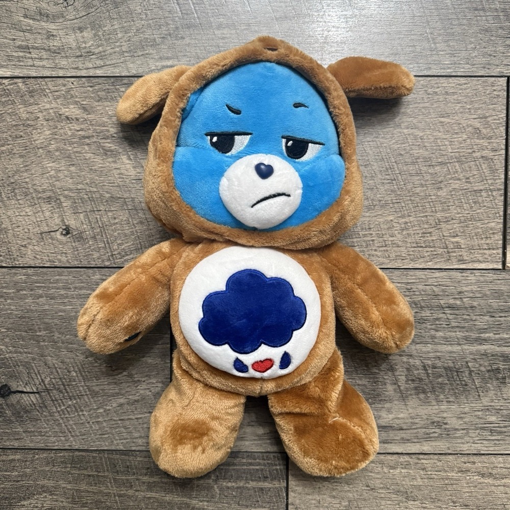 Care Bears Hoodie Friends Grumpy Bear Plush 2021 Puppy Dog Suit Rain Cloud‎ 12"